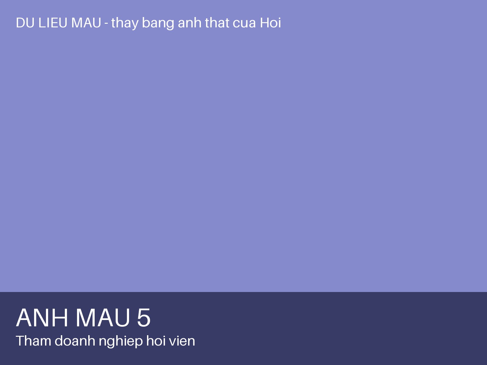 Ảnh 5 — Thăm doanh nghiệp hội viên